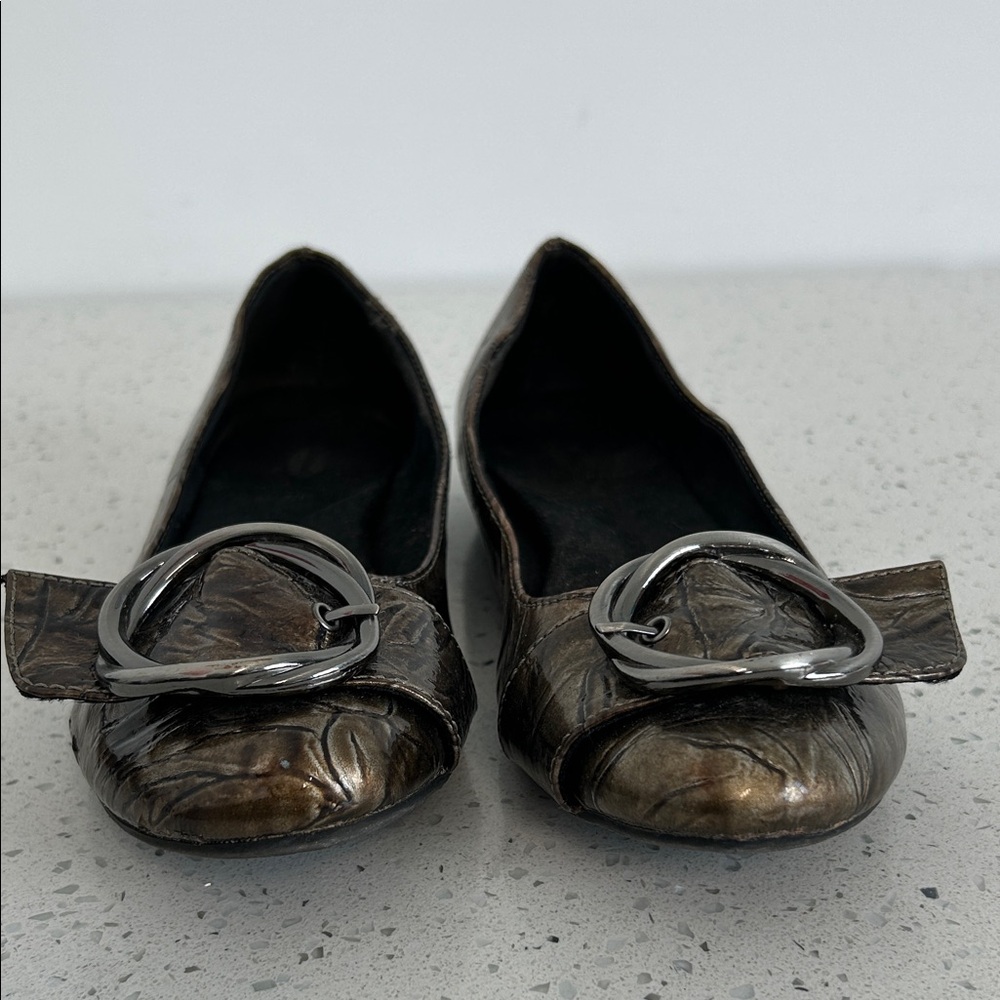 Dr Scholl’s Elegant Metallic Flats with Buckle Detail